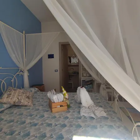 Elfo Degli Ulivi Noli