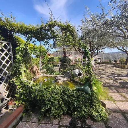 Elfo Degli Ulivi Bed and breakfast