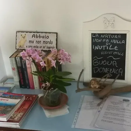 Bed & Breakfast Elfo Degli Ulivi 4*