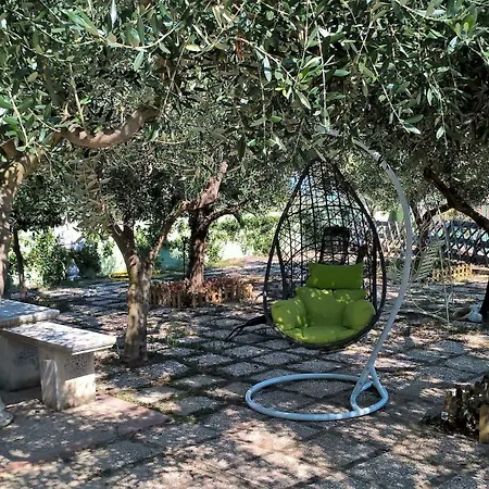 Elfo Degli Ulivi Noli