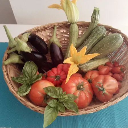 Elfo Degli Ulivi Bed & Breakfast 4*