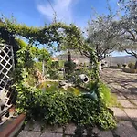 Elfo Degli Ulivi Bed & Breakfast