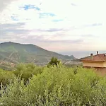 Elfo Degli Ulivi
