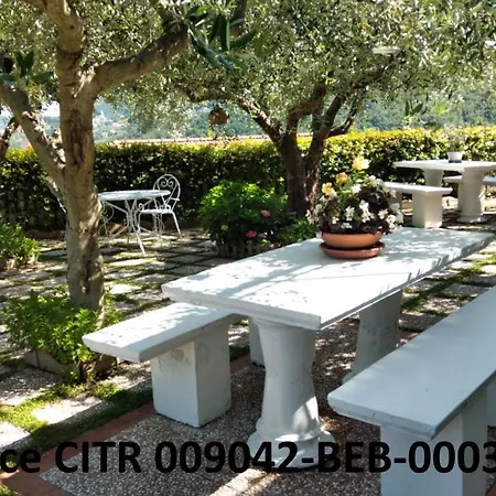 Bed & Breakfast Elfo Degli Ulivi