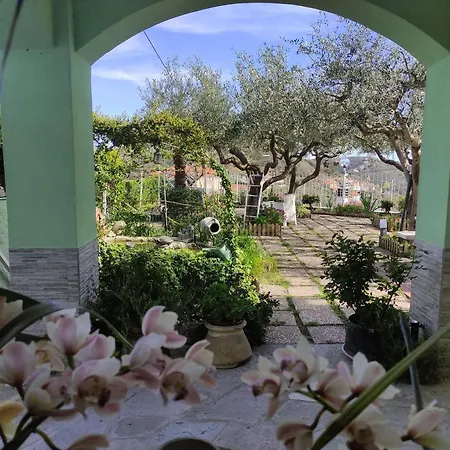 Elfo Degli Ulivi 4*