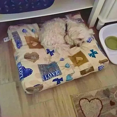 Nocleg ze śniadaniem Elfo Degli Ulivi 4*