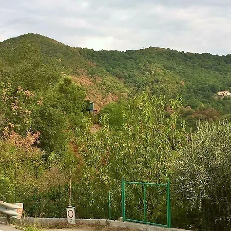 Bed & Breakfast Elfo Degli Ulivi 3*