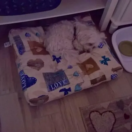 Elfo Degli Ulivi B&B 놀리