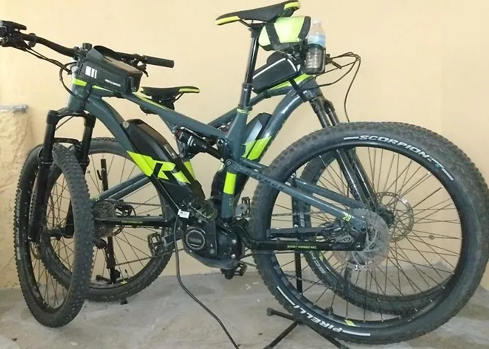 Bed & Breakfast Elfo Degli Ulivi