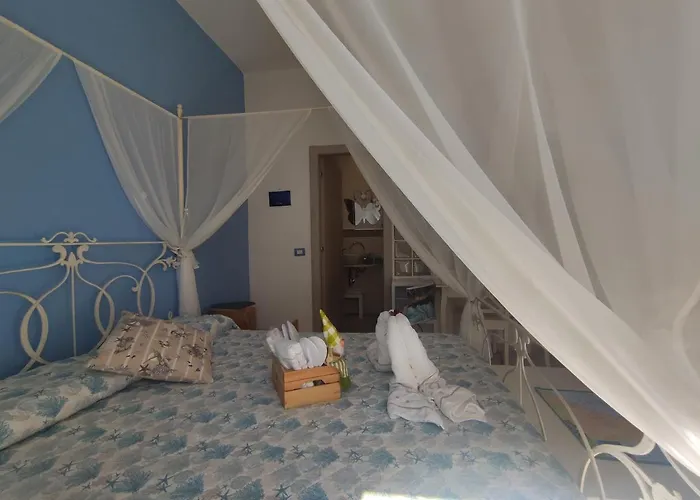 Elfo Degli Ulivi Noli