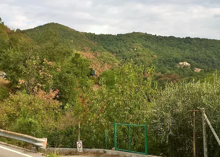 Bed & Breakfast Elfo Degli Ulivi 4*