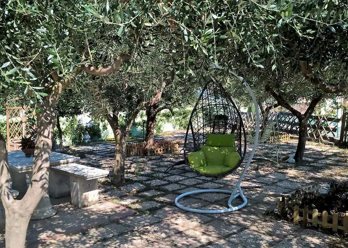 Elfo Degli Ulivi Noli