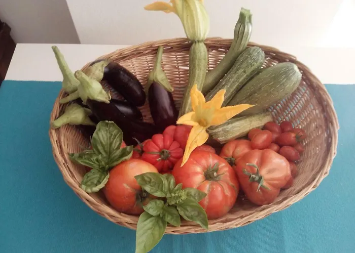 Elfo Degli Ulivi Bed and breakfast 4*